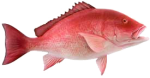 RELAX USA риппер KingShad 5